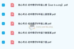 《核心考点：初中数学》