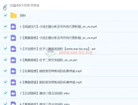 陆杰峰初二语文2024年A+春季班（下）