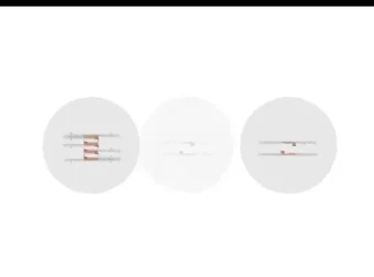 陈旭晨精讲高二生物必修课：基因工程与发酵技术