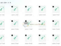 英语口语：Speak English Like an American 像美国人一样说话