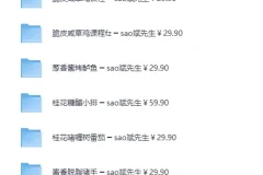 sao斌先生家常菜菜谱高清视频教程（30套）