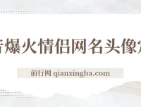 抖音爆火情侣网名头像定制项目：简单易操作，轻松实现收益