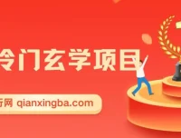 最新冷门玄学项目：零成本创业指南，一单收益268元