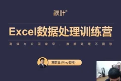 秋叶《Excel数据处理训练营》：职场Excel进阶课程