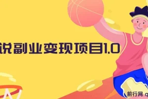 黄岛主：小说副业变现项目1.0