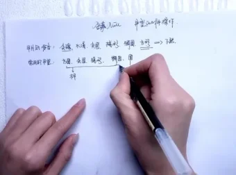 金菲美甲全科班：从零基础到高级技法的全面教程