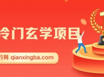 最新冷门玄学项目：零成本创业指南，一单收益268元