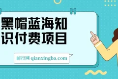 黑帽蓝海知识付费项目：黑帽培训技术