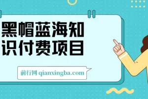黑帽蓝海知识付费项目：黑帽培训技术