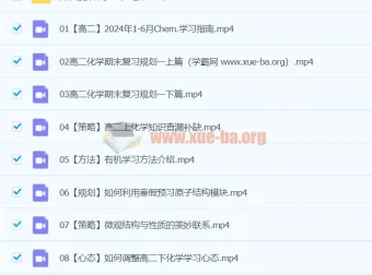 2024高二化学冷士强下学期寒假班