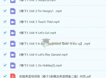 【2023春下】杨细平小学二年级新概念英语预备二级初级英语课程
