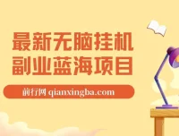 最新纯小白可操作无脑挂机蓝海项目：轻松实现日入1000+