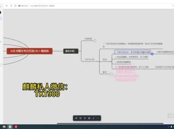小红书图文号精准引流指南：实现日增300粉丝课程