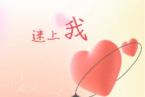 《迷上我：成真教你快速吸引女人的秘籍》