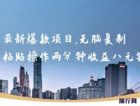 最新爆款网络项目：无脑复制粘贴，两分钟收益八元，可无限操作