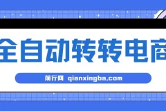 AI全自动转转电商项目：内部专属低价货源揭秘