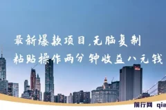最新爆款网络项目：无脑复制粘贴，两分钟收益八元，可无限操作