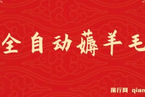 全自动薅羊毛项目：零门槛新手及工作室多平台赚钱方案