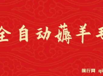 全自动薅羊毛项目：零门槛新手及工作室多平台赚钱方案