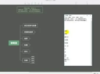 苏博士淘宝无货源精细化运营课：538节实战陪跑课程