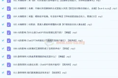 傅盛等大咖共谈：AI实践真知课（31集全）