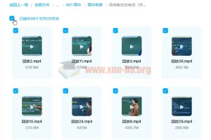 朱伟《高考版恋恋有词》