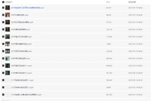 摄影进阶之路全能摄影班：100节全流程摄影系统课