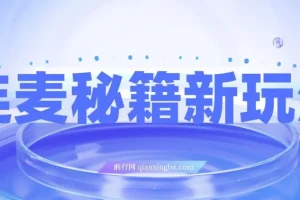 连麦秘籍新玩法：时薪50，利用碎片时间轻松日赚200+【揭秘】