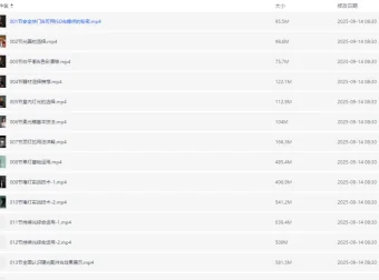 摄影进阶之路全能摄影班：100节全流程摄影系统课