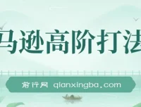 亚马逊高阶打法14节视频课：涵盖选品、广告等策略