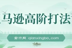 亚马逊高阶打法14节视频课：涵盖选品、广告等策略