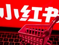 小红书电商实战保姆级教程：从小白到精英的进阶指南