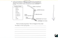 曹文教授英语写作技巧精讲（3-4级）课程