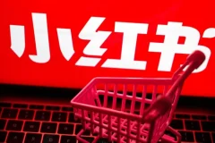 小红书电商实战保姆级教程：从小白到精英的进阶指南