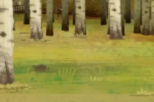 土豆逗野外生存指南：10大绝境自救实用技巧