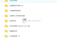 张雨桐初一生物培训班（春上·全国版·A+）