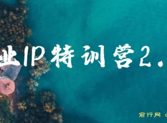 创业IP特训营2.0：IP合伙人掘金计划，实现年入50W