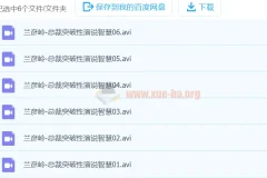 兰彦岭《总裁突破性演说智慧》课程（6集）