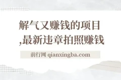 最新违章拍照赚钱项目：随手拍摄，轻松增收