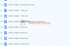 初中英语 Fun English 课程（赵悦）