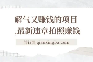 最新违章拍照赚钱项目：随手拍摄，轻松增收