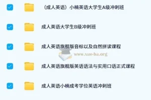小楠成人英语：学位英语与专升本英语课程