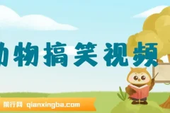 AI软件一键生成原创动物搞笑视频，助力流量收益