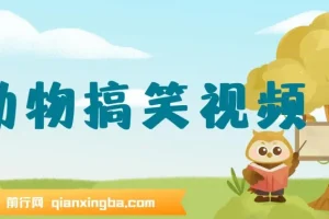 AI软件一键生成原创动物搞笑视频，助力流量收益