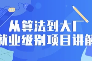 从算法到大厂就业级别项目讲解课程