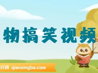 AI软件一键生成原创动物搞笑视频，助力流量收益