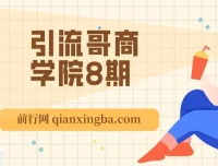 引流哥商学院8期：多平台引流实操课程