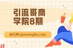 引流哥商学院8期：多平台引流实操课程