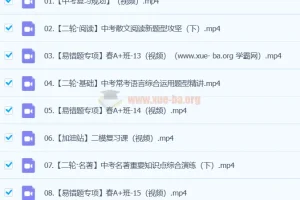 杨荷 2024 初三中考语文 A+春季班（下）视频课程