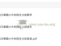 王朝霞2025版小升初重点校毕业升学招生分班卷：语数英